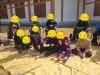 ǥ